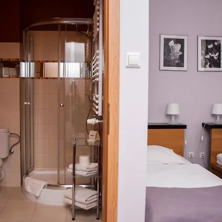 塞科夫斯基酒店 酒店 莱格尼察