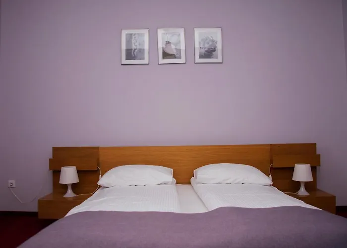 Отель Sekowski 3*